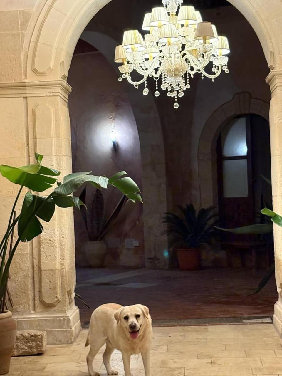 Palazzo Gancia Holiday Homes Syrakus Exterior foto